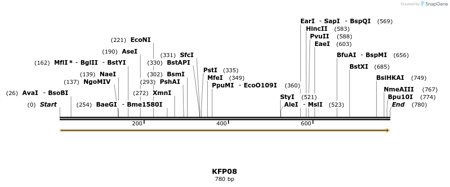 226858_map