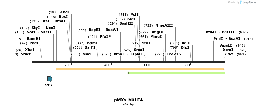 22686_map