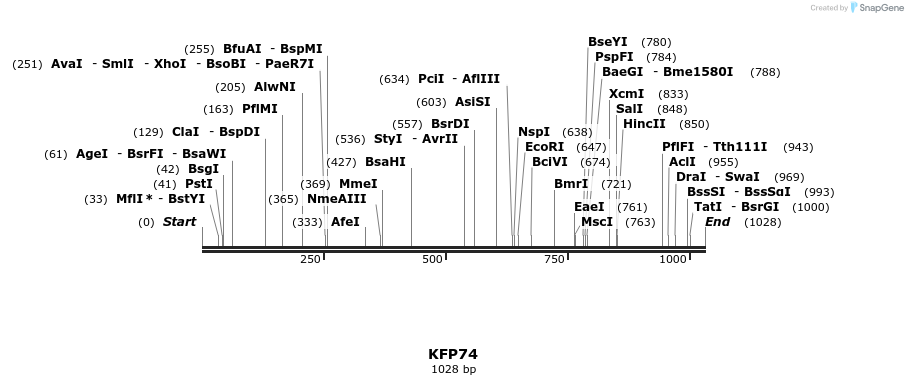 226862_map