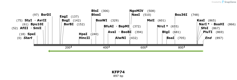 226863_map
