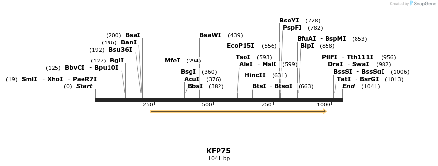 226866_map