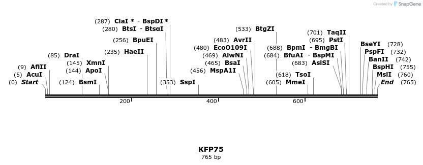 226867_map
