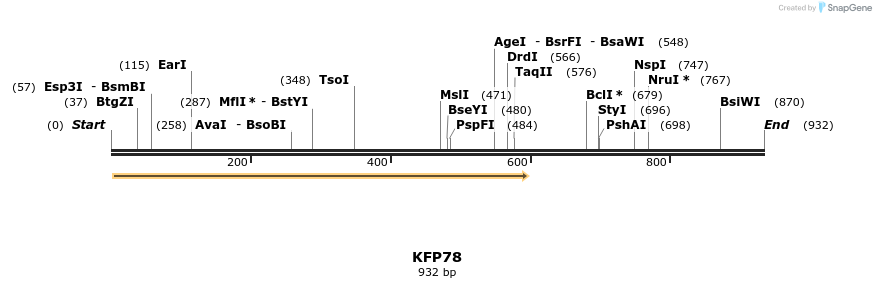 226870_map