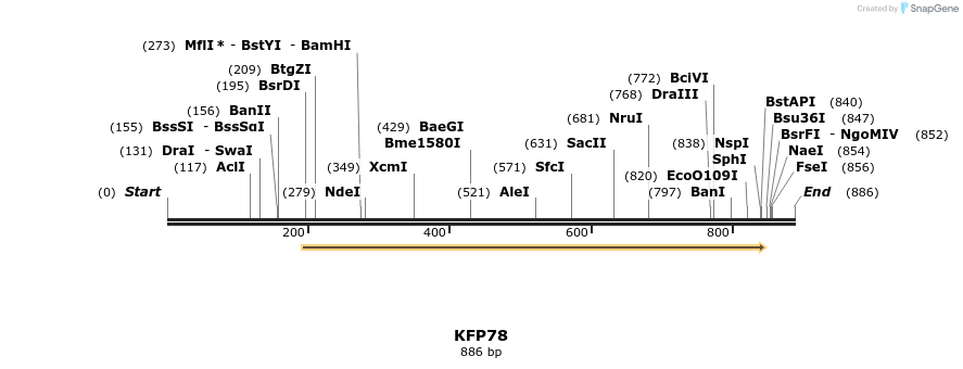 226872_map