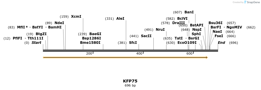 226873_map