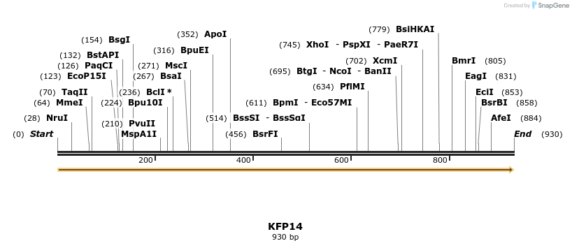 226883_map