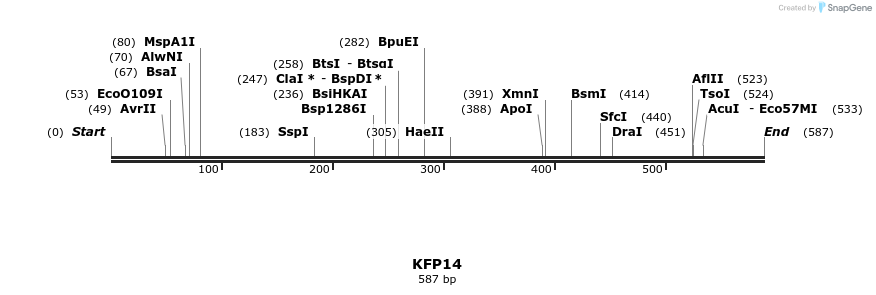 226884_map