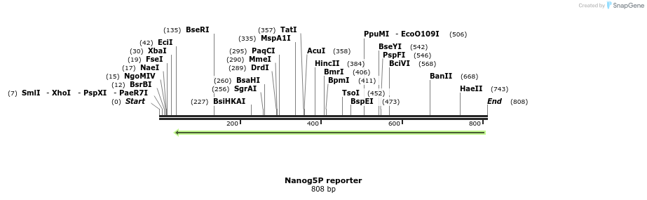 22690_map