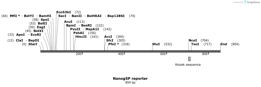 22691_map