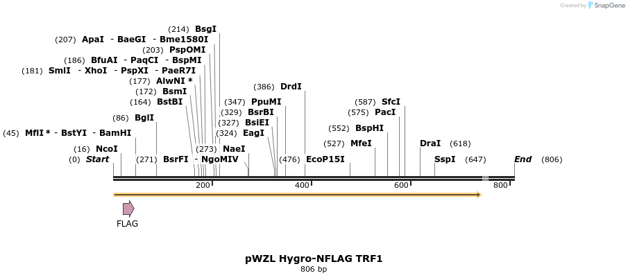 22696_map