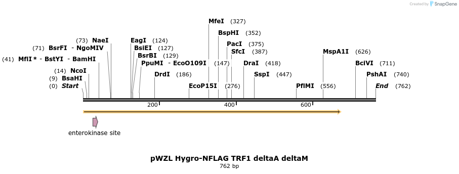22699_map