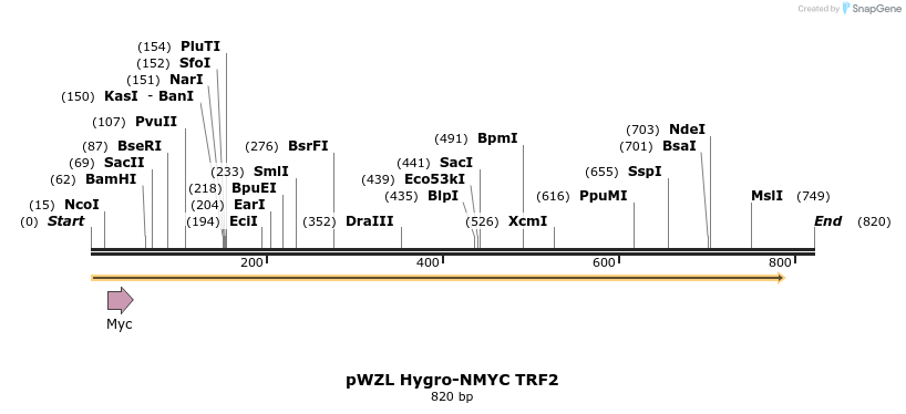 22700_map