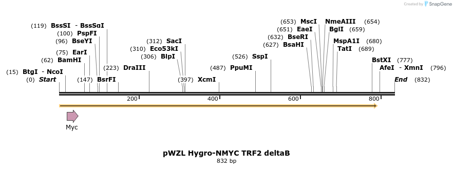 22701_map