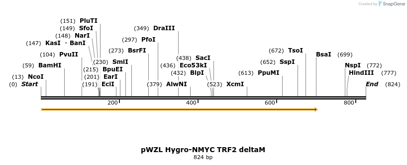 22702_map