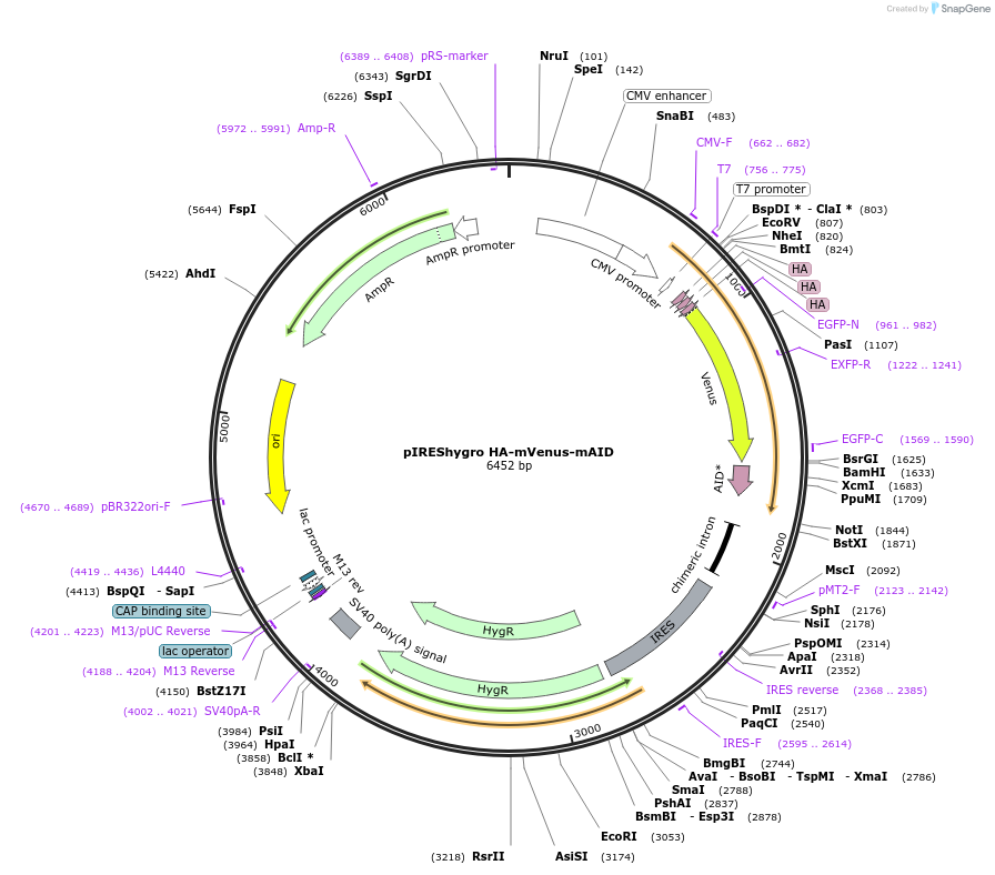 227021_map
