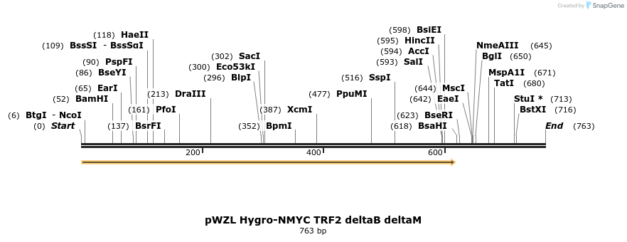 22704_map