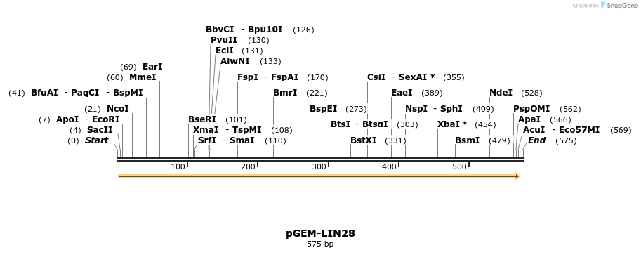 22706_map