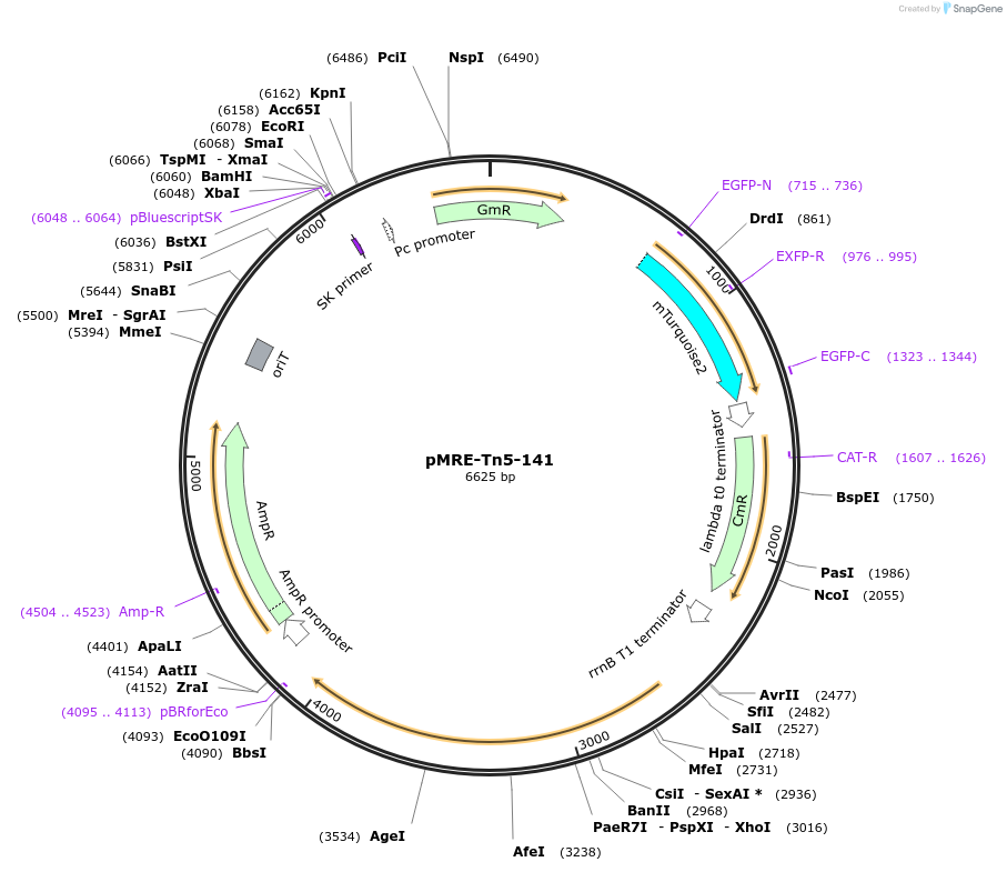 227061_map