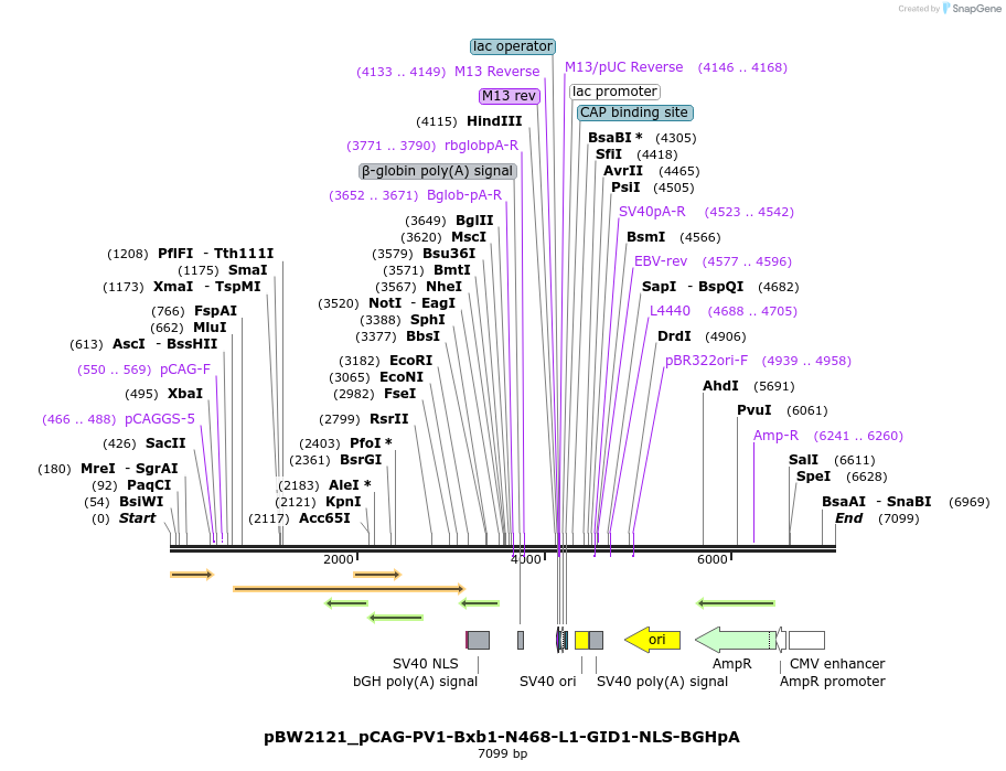 227067_map