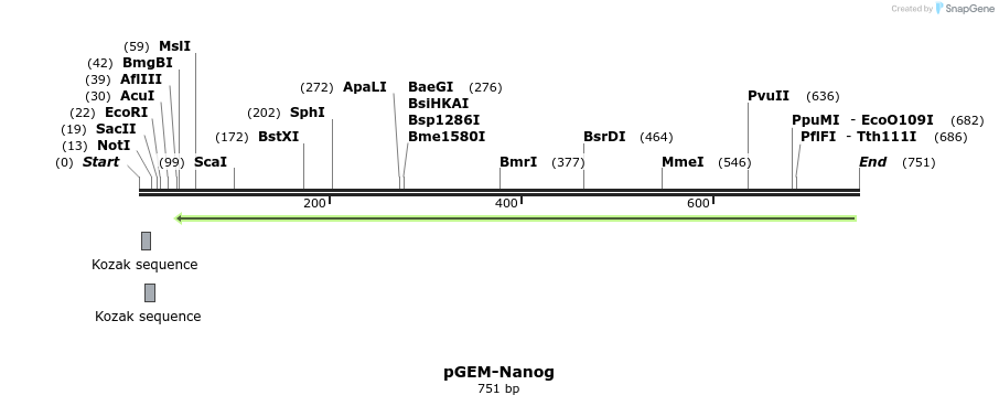 22707_map