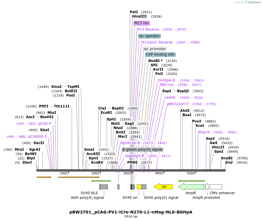 227080_map