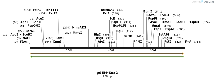 22709_map