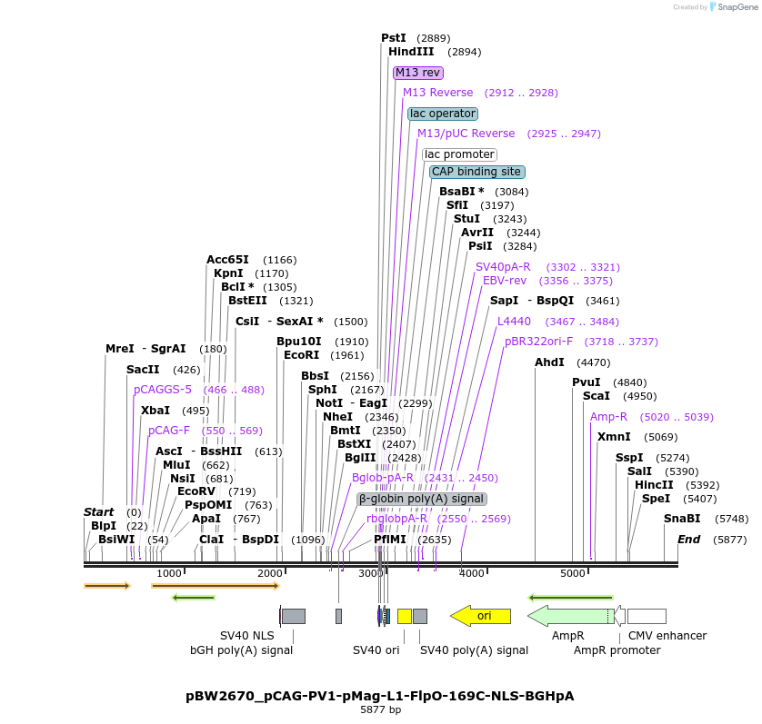 227092_map