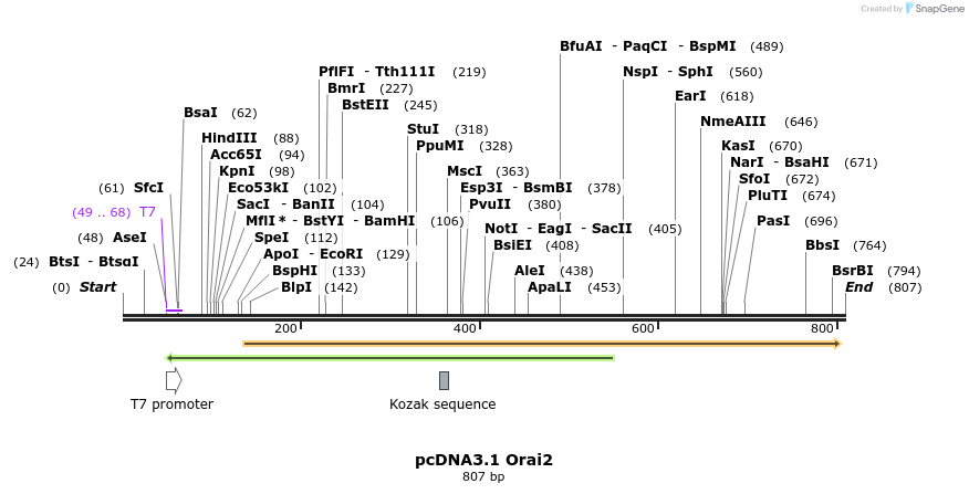 22717_map