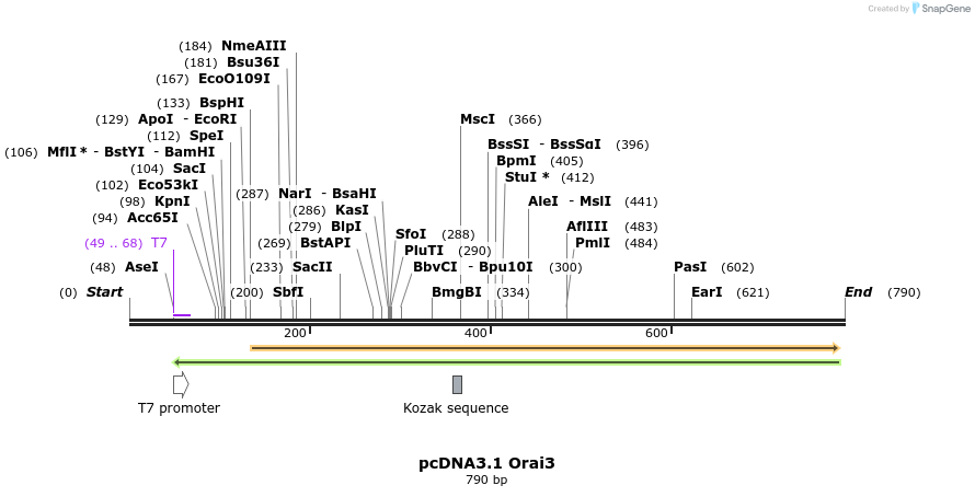 22718_map