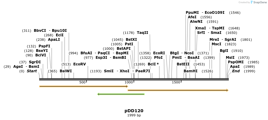 227257_map