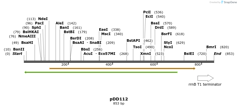 227272_map