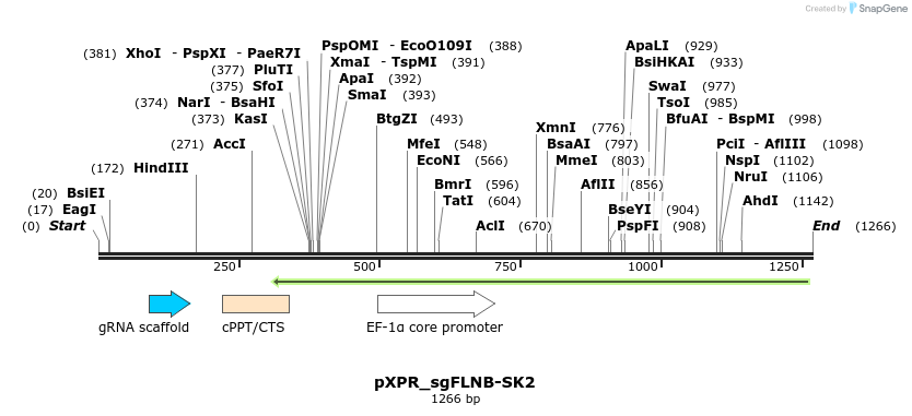 227302_map