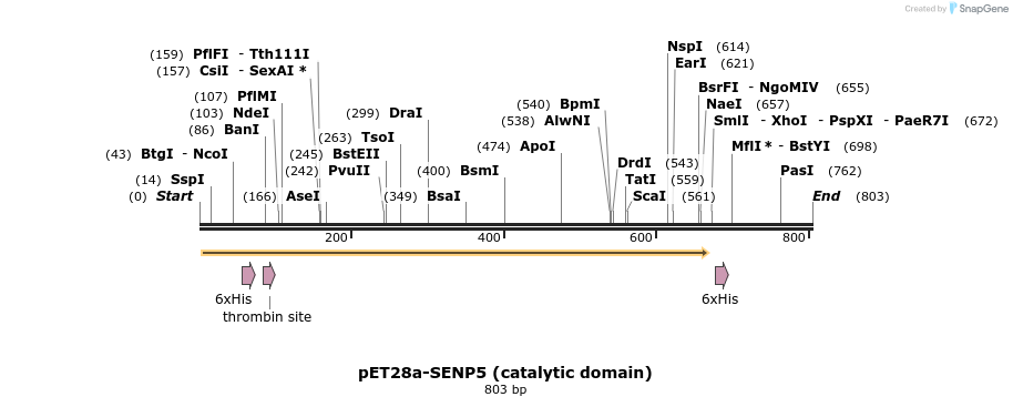 22731_map