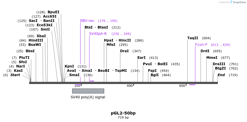 22738_map