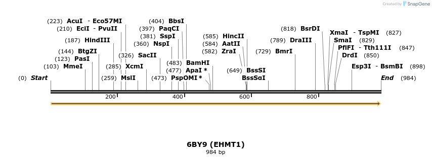 227381_map
