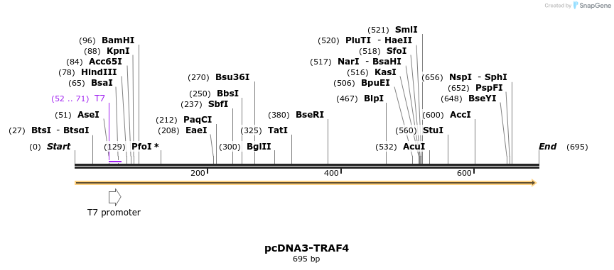 22739_map