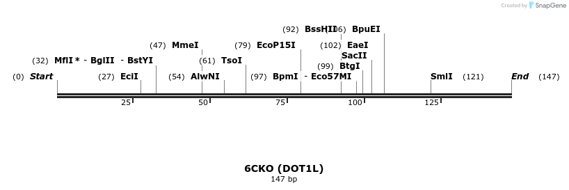 227393_map