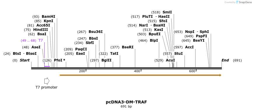 22741_map