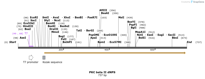 22751_map