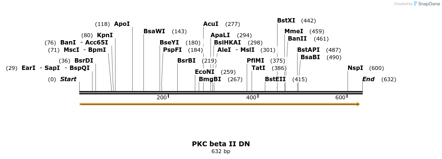 22756_map