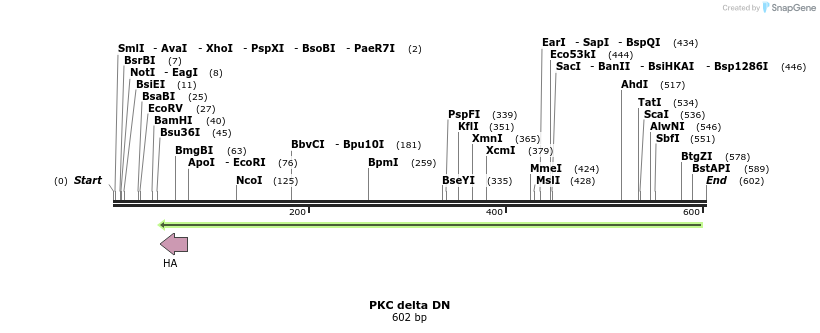 22761_map