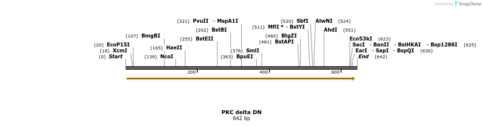 22762_map