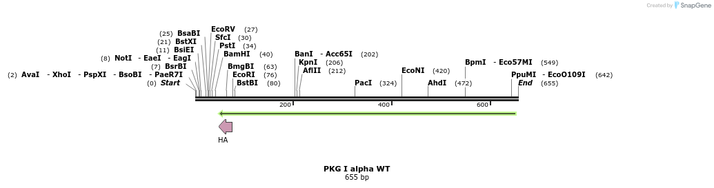 22763_map