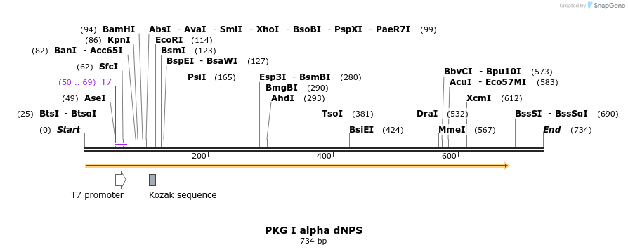 22764_map