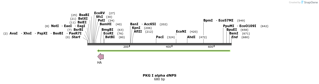 22765_map