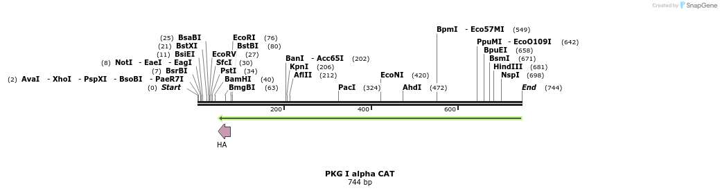 22766_map