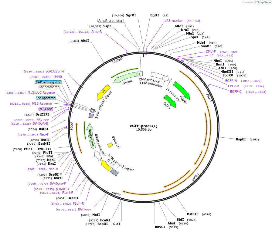 227710_map