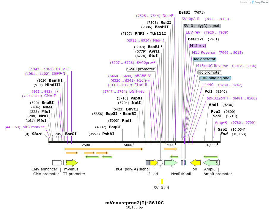 227722_map