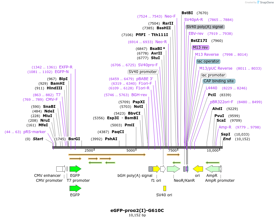 227728_map