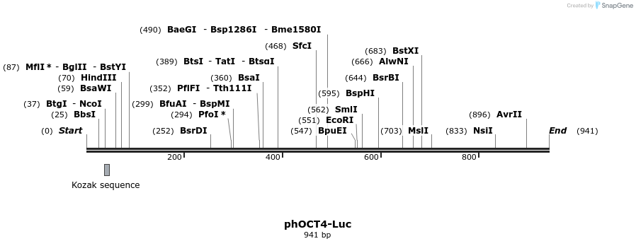 22774_map